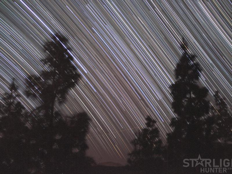 Star trails between the trees