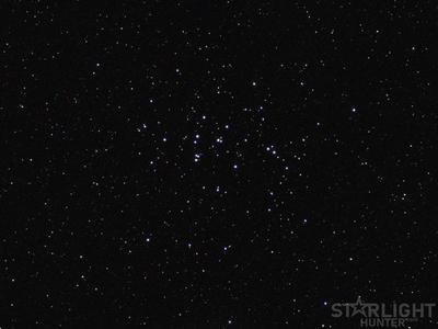 Beehive Cluster M44