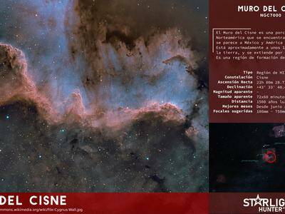 Cygnus Wall infography