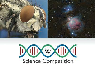 Finalista Wiki Science Competition